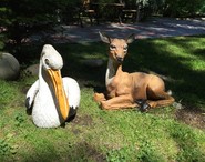 IMG_6867
